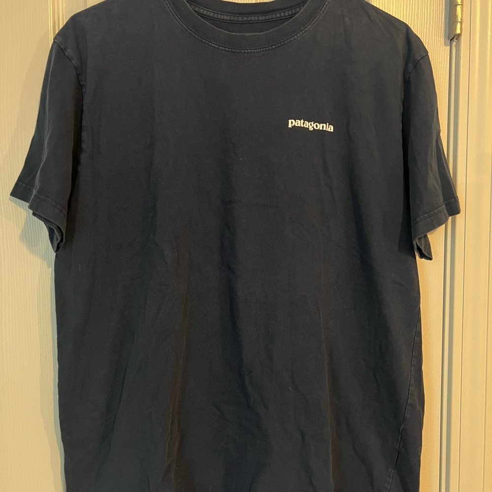 Patagonia Blue Short Sleeve Tee
